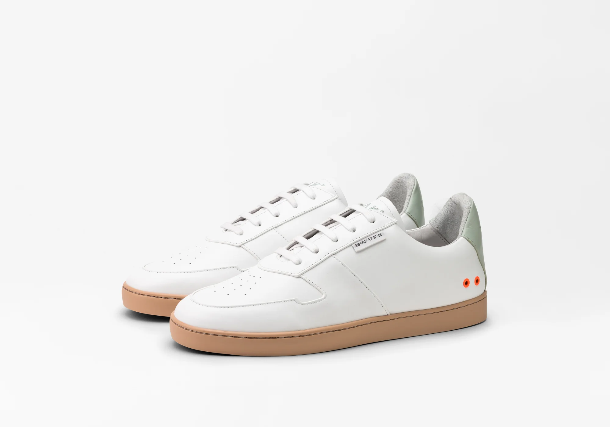 JAK · Latitid - Image 4